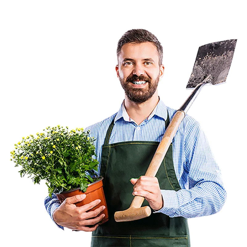 Additional image 2 for product 238